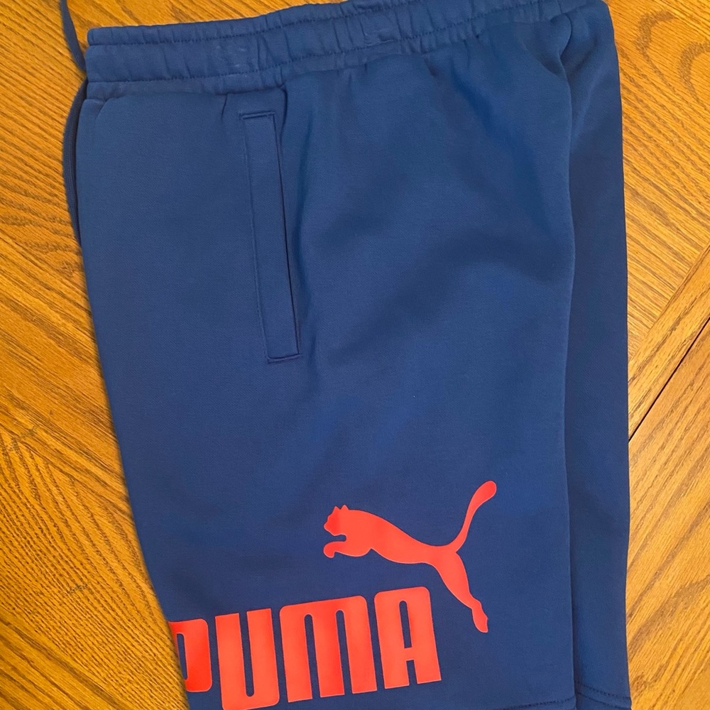 Puma Blue and Pink Athletic Shorts Relaxed Fit